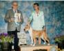 AKC CH. TIGER REDS Canossa