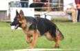 Aquiles do Reyfonas e Lord Manske