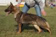 Huntress von der Nord Kuste