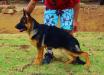 Jordan von Haus Canha