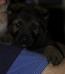 whiskey von eintze