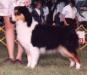 AKC/ASCA CH Morghana's Li'l Miss Hot Stuff