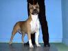 Irgen Gold Zena