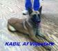 Kabil Af Viljestark