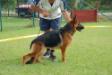 Djana Fixfrutta