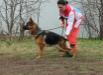 De Orse Mak Flai Odri