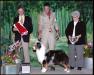 AKC/ASCA CH Windrift's Got It Goin' On