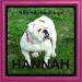 Hannah of amaro