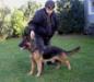Xana Einsamer Wolf