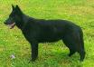 Webbie Aritar Bastet