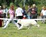 First cowboy des gardiens du pacte