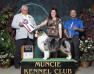 AKC BIS RBIS BISS GCH / ASCA / UKC CH Bayshore Stonehavens Goldmine