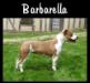  Barbarella of desmobull's