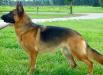 Yjewels Von Rheinhardt