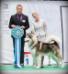 BIS BISS GCH RUS CH AKC FIN Alaskan Legend Show Must Go On