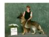 Timberline's Razz M Tazz