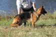 PFC Penny Rallhaus