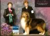 GCH Alaric Bound By The Heart