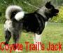  Coyote Trail's Jack