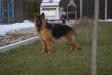 Xena von Turenhof