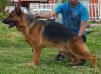 ODIN VON HAUS ARANDA