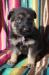 Fergie von Granville