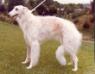 Narichkine de Mayerling