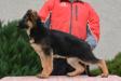Hero Suche Lazce