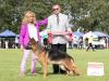 Best Minor Puppy In Show Best Junior of Group CHAMPION Pirelli vom Volkerson