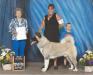 AKC GCH Cade's Turn Of The Tyde
