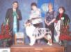 AKC GCH UKC CH Graffiti Wildcard of RyanCreek