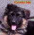 Covery Ida
