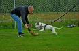 Stepstone Bulldogs 8ball aka Doris