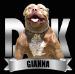  DDK9's Gianna