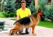 De Orse Mak Flai Olimpiya