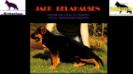 Jack Belahausen