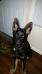 Outlaw Vom Sudenblick