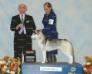 AKC CH, UKC GCH YUKI OOKAMI'S LILLIAN OF ALEGRíA