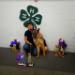 UKC CH.  4H Grand Champion Einzigartige Erbe Rhett