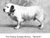 Questor (1920s Not yet otherwise specified)