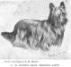 Lucy (C.H. Lane's)