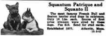  Squantum Patrique 194482