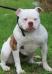 Bck's lil roo