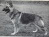 Tackleway Piper