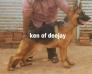 KEN OF DEEJAY