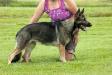 Deann von Lindesfarne KK