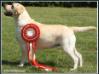  Should Not Sell Bella Mare