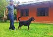 Dalia Zara Cro Rott