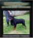 Balou Zara Cro Rott