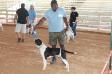 Bull City Kennel's Your Royal Hotness of Mac's